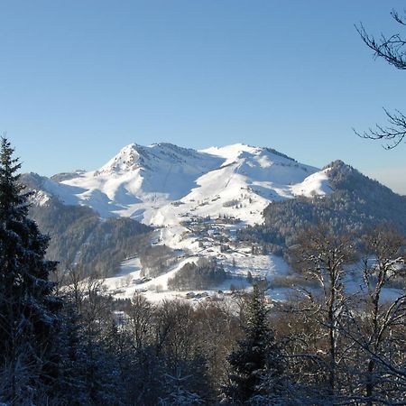 Hotel Les Skieurs Bellevaux Buitenkant foto