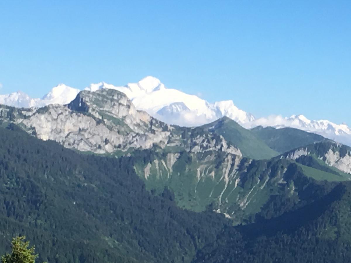Hotel Les Skieurs Bellevaux Buitenkant foto