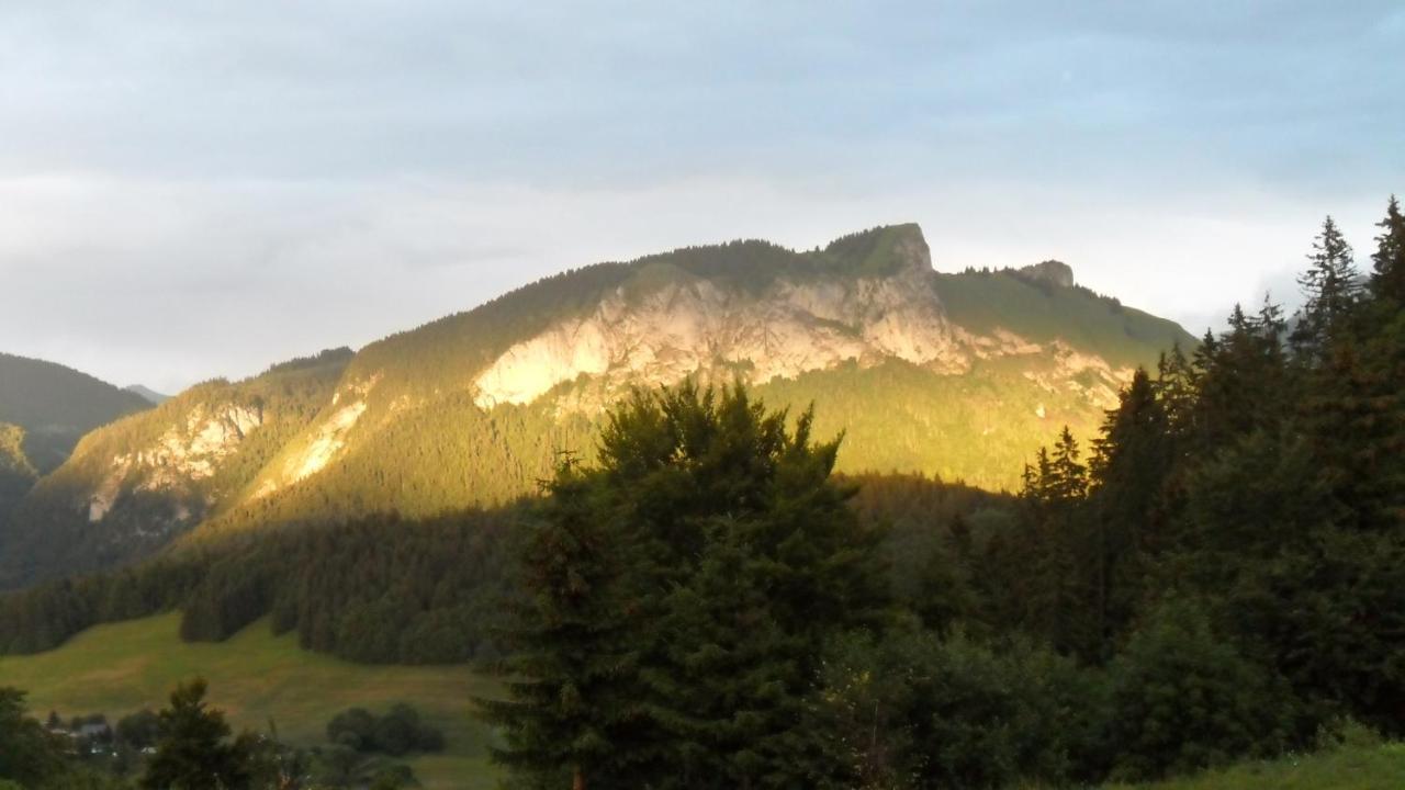 Hotel Les Skieurs Bellevaux Buitenkant foto